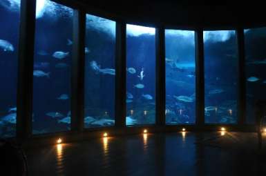 Aquarium finisterrae 