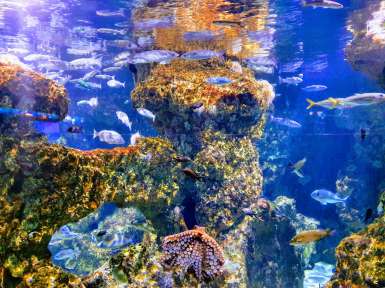 L'Aquàrium de Barcelona