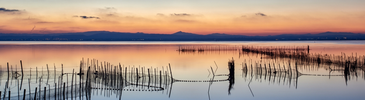 Parque Albufera	